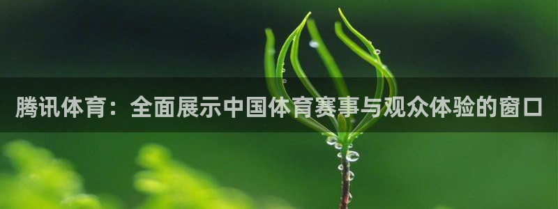 火凤体育直播免费比赛：腾讯体育：全面展示中国体育赛事与观众体验的窗口
