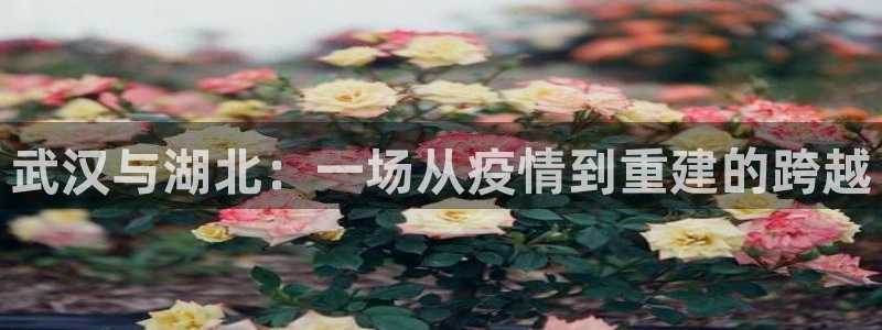 火凤体育直播在线观看高清：武汉与湖北：一场从疫情到重建的跨越