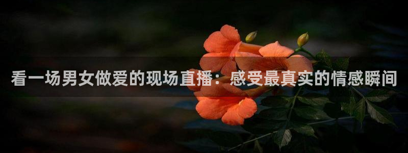 火凤足球比赛直播：看一场男女做爱的现场直播：感受最真实的情感瞬间
