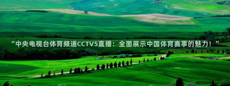 火凤体育直播在线：“中央电视台体育频道CCTV5直播：全面展示中国体育赛事的魅力！”